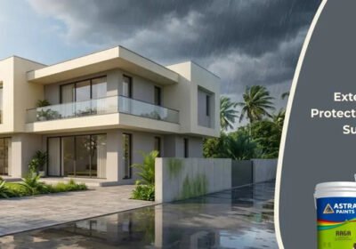 Exterior-Paint-Guide-Protecting-Your-Home-from-Sun-Rain-Algae