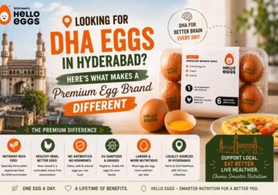 Looking-for-DHA-Eggs-in-Hyderabad-Heres-What-Makes-a-Premium-Egg-Brand-Different