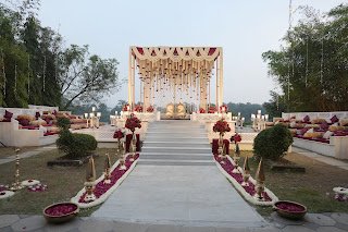 Weddings