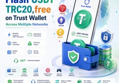 flash-usdt-200-5