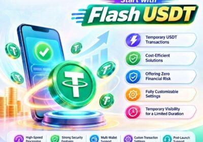 flash-usdt-software-200-13-1