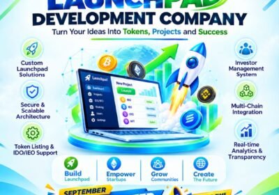 Launchpad-Development-Company-CoinsQueens-3