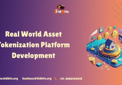 Real-World-Asset-Tokenization-Platform-Development-1