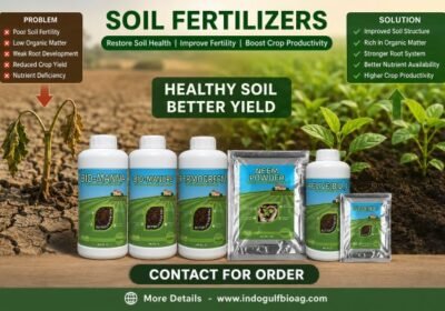 soils